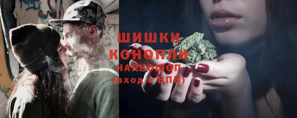 сатива Михайлов