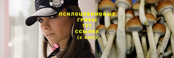 сатива Михайлов