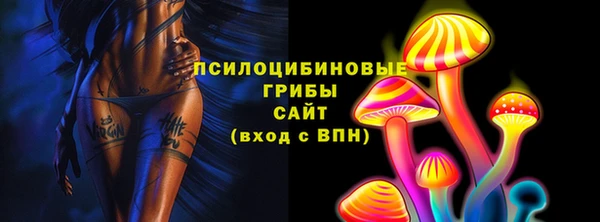 сатива Михайлов
