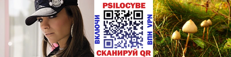 OMG ONION  Мурино  Галлюциногенные грибы Cubensis 