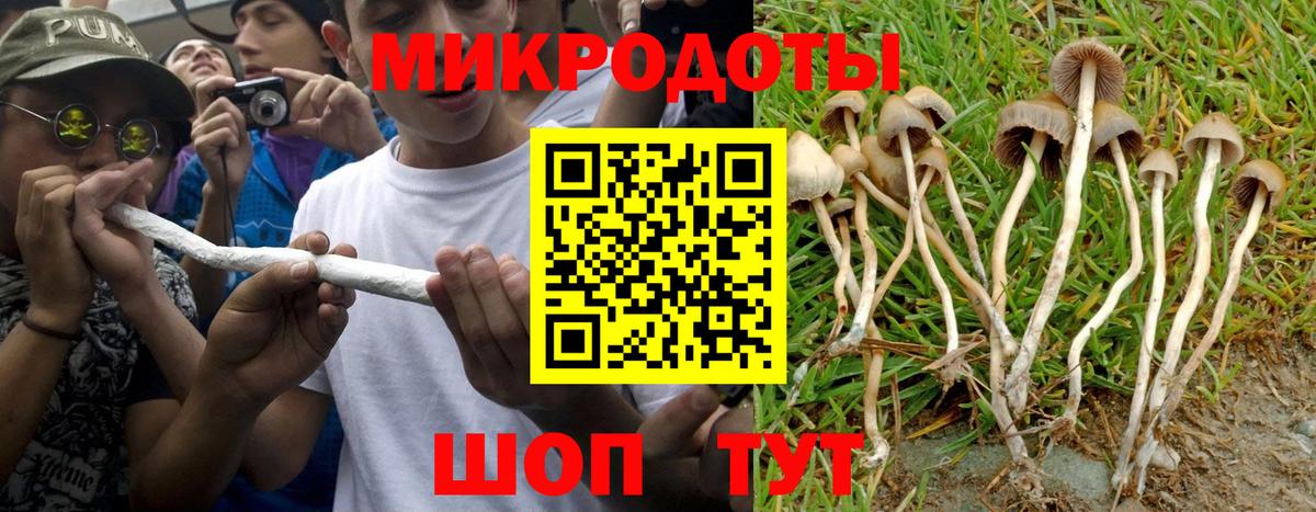 Псилоцибиновые грибы GOLDEN TEACHER Мурино