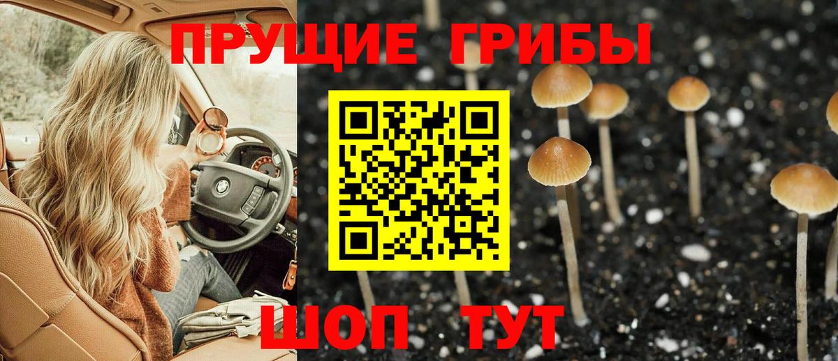 Альфа ПВП Мурино