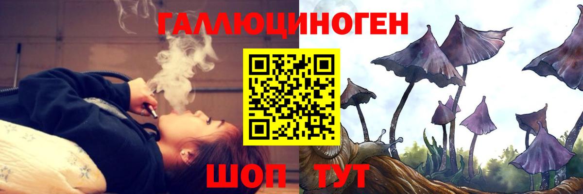 Псилоцибиновые грибы Psilocybine cubensis  Вход с VPN  Мурино 