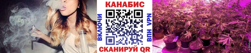Канабис ГИДРОПОН OMG даркнет наркотические препараты продажа наркотиков Мурино
